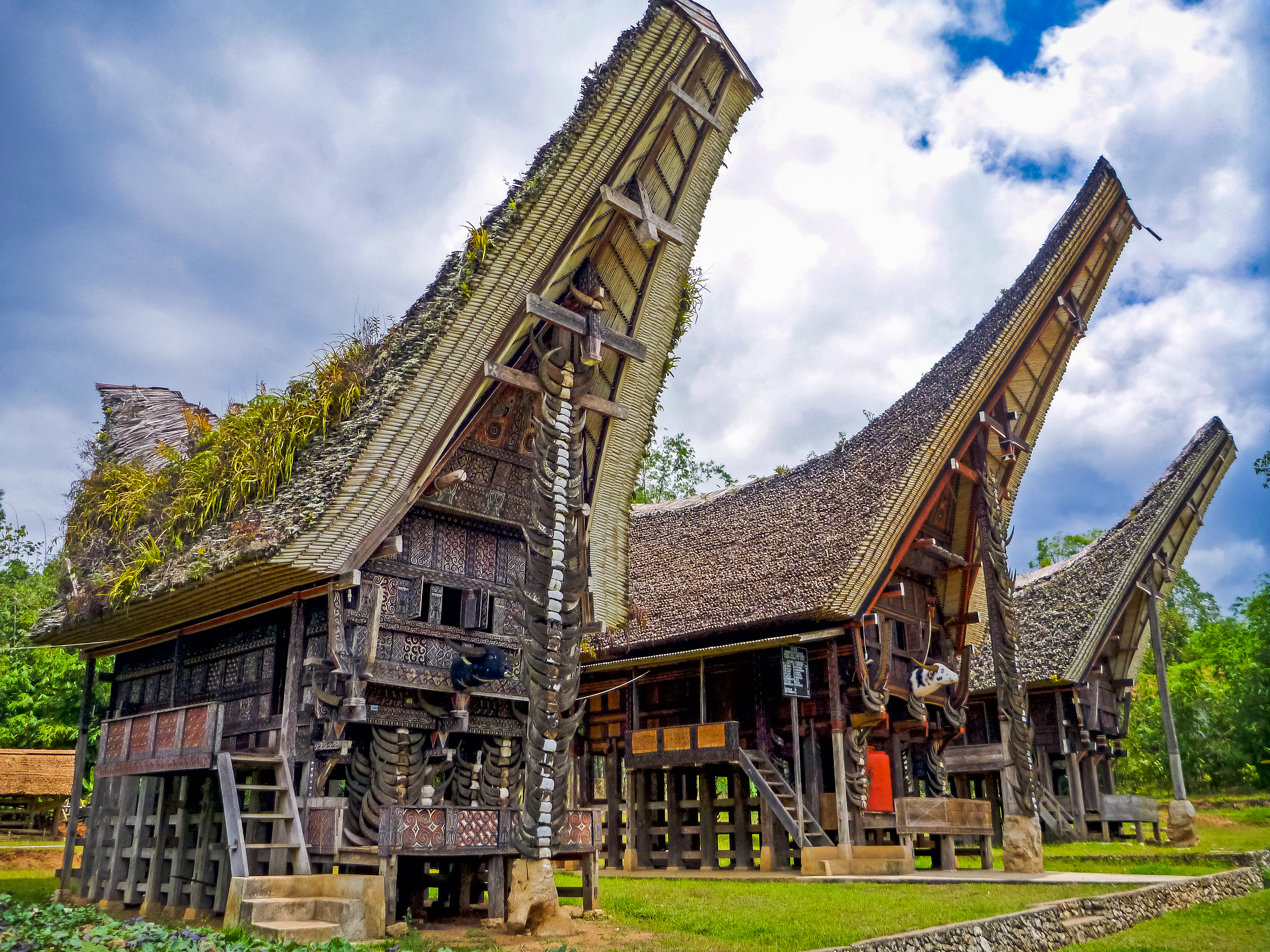 Tana Toraja - Netelo Village